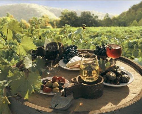 Hunter Valley tour